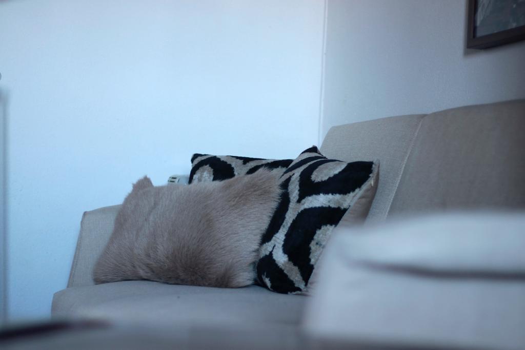 Apartment Le Flat Santa Catarina Lisbon
